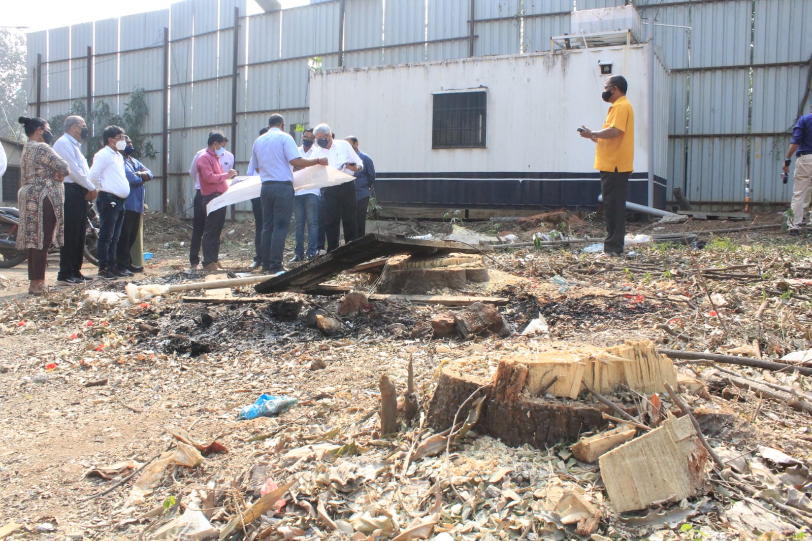 Mumbai: Congress's Ravi Raja writes to BMC commissioner Iqbal Singh Chahal about indiscriminate hacking of trees in Sion Koliwada locality - Vimarsana News