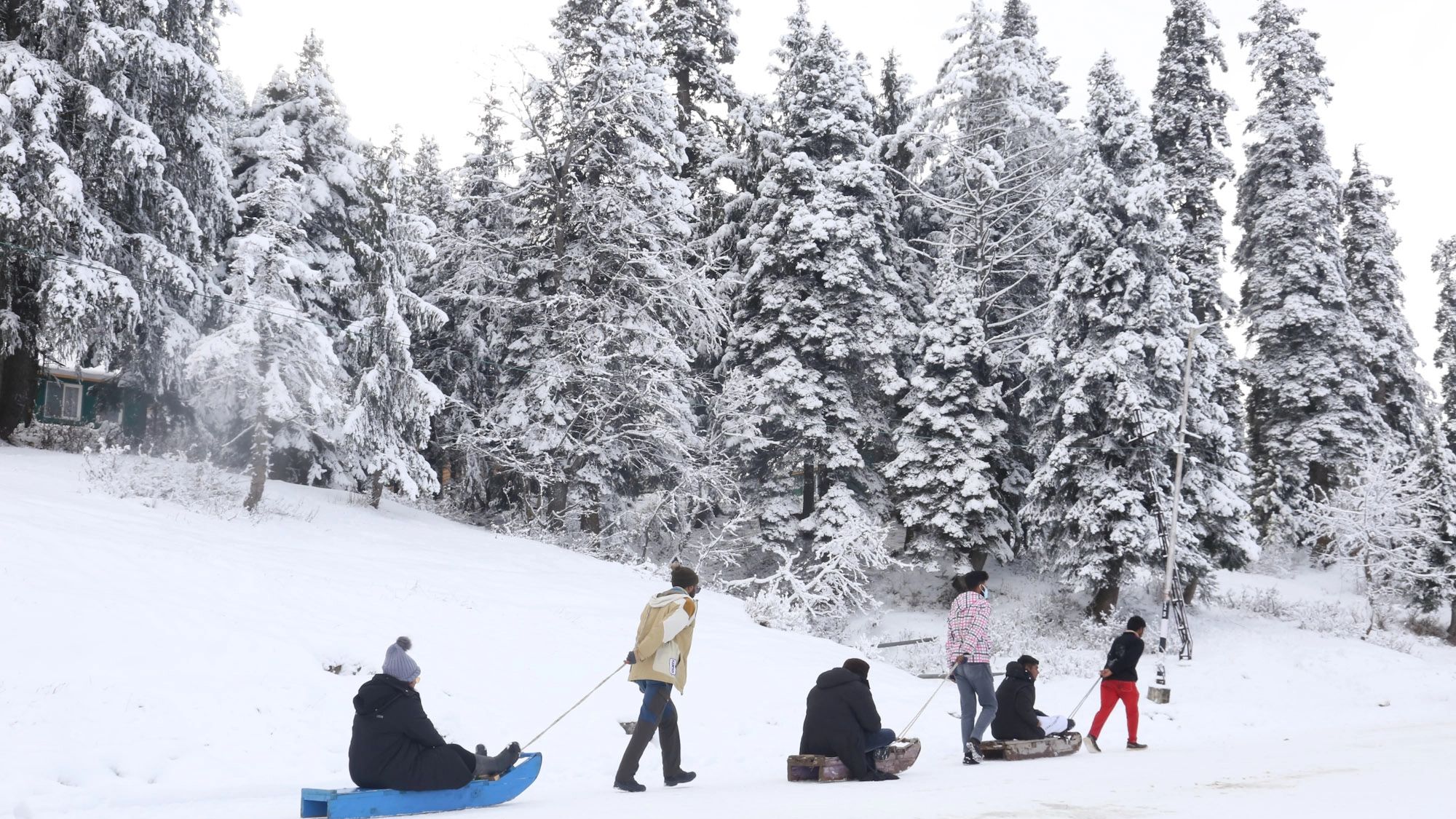Tourists enjoy sledge ride at snow covered ski resort Gulmarg after the fresh snowfall on December 07, 2021. Photo Sajad Hameed