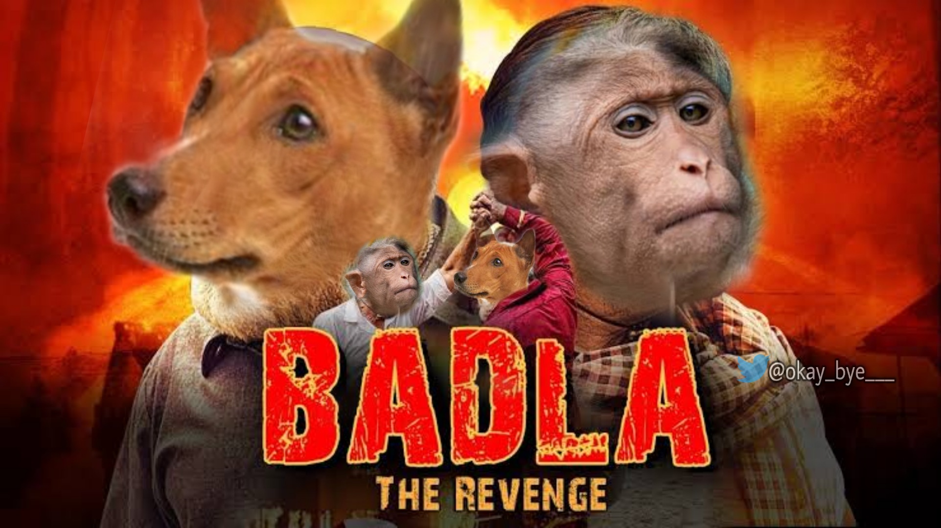 It's raining #MonkeyvsDog memes after rampaging monkeys kill 250 pups in India in revenge massacre - Vimarsana News