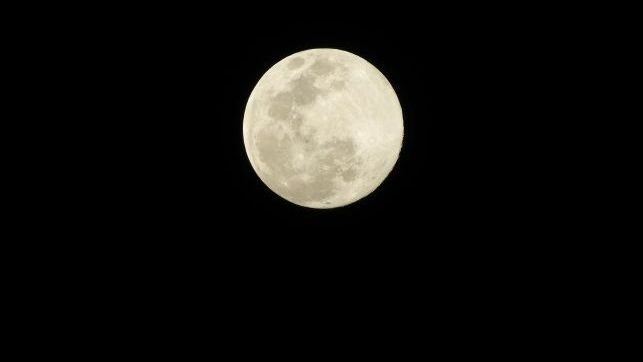 Margashirsha Purnima Vrat 2021: Date, Time, Significance - Here's all you need to know about this day - Vimarsana News