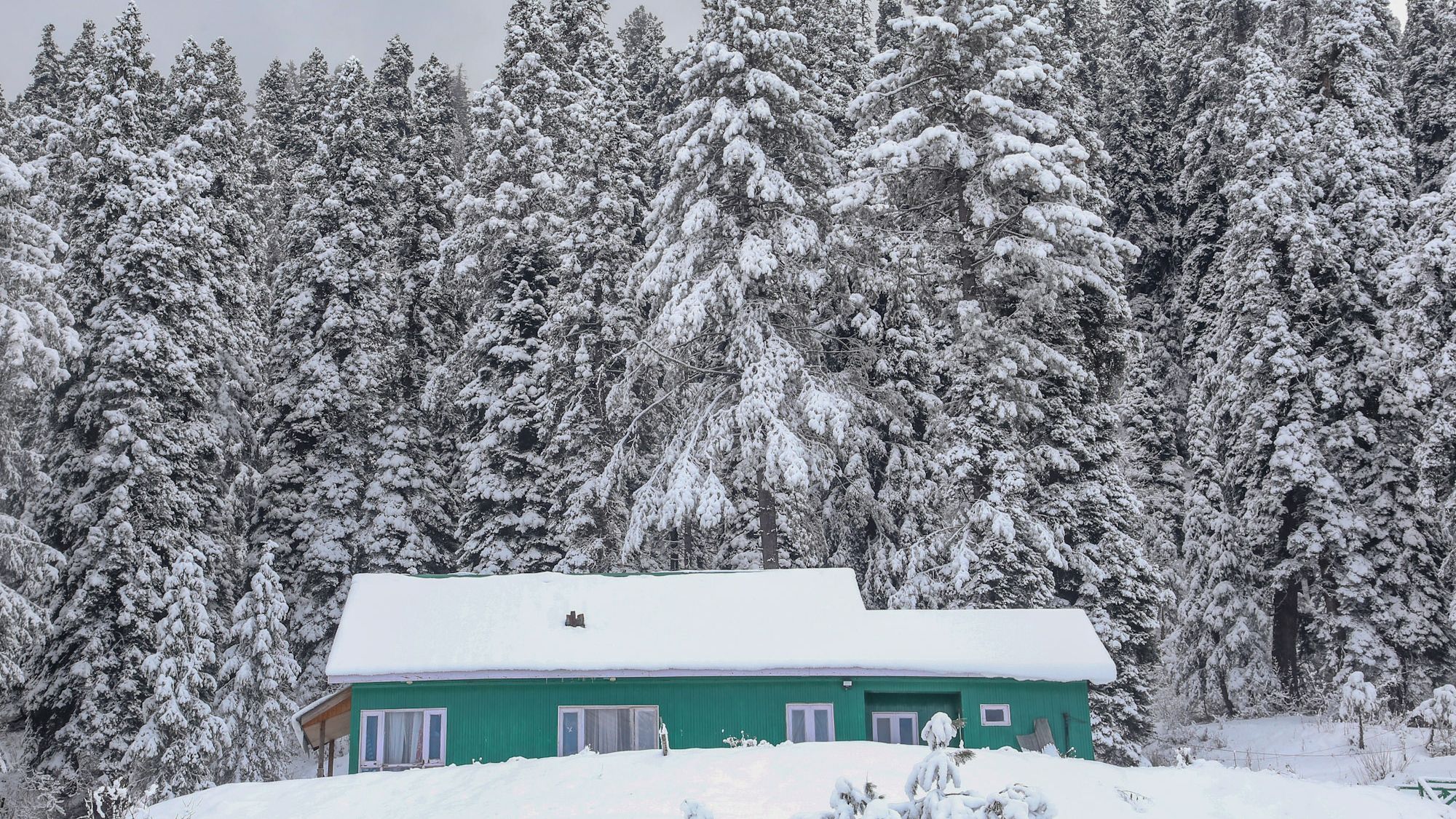 In Photos: It's Snowing Buckets in Gulmarg, and it Looks Breathtaking - Vimarsana News