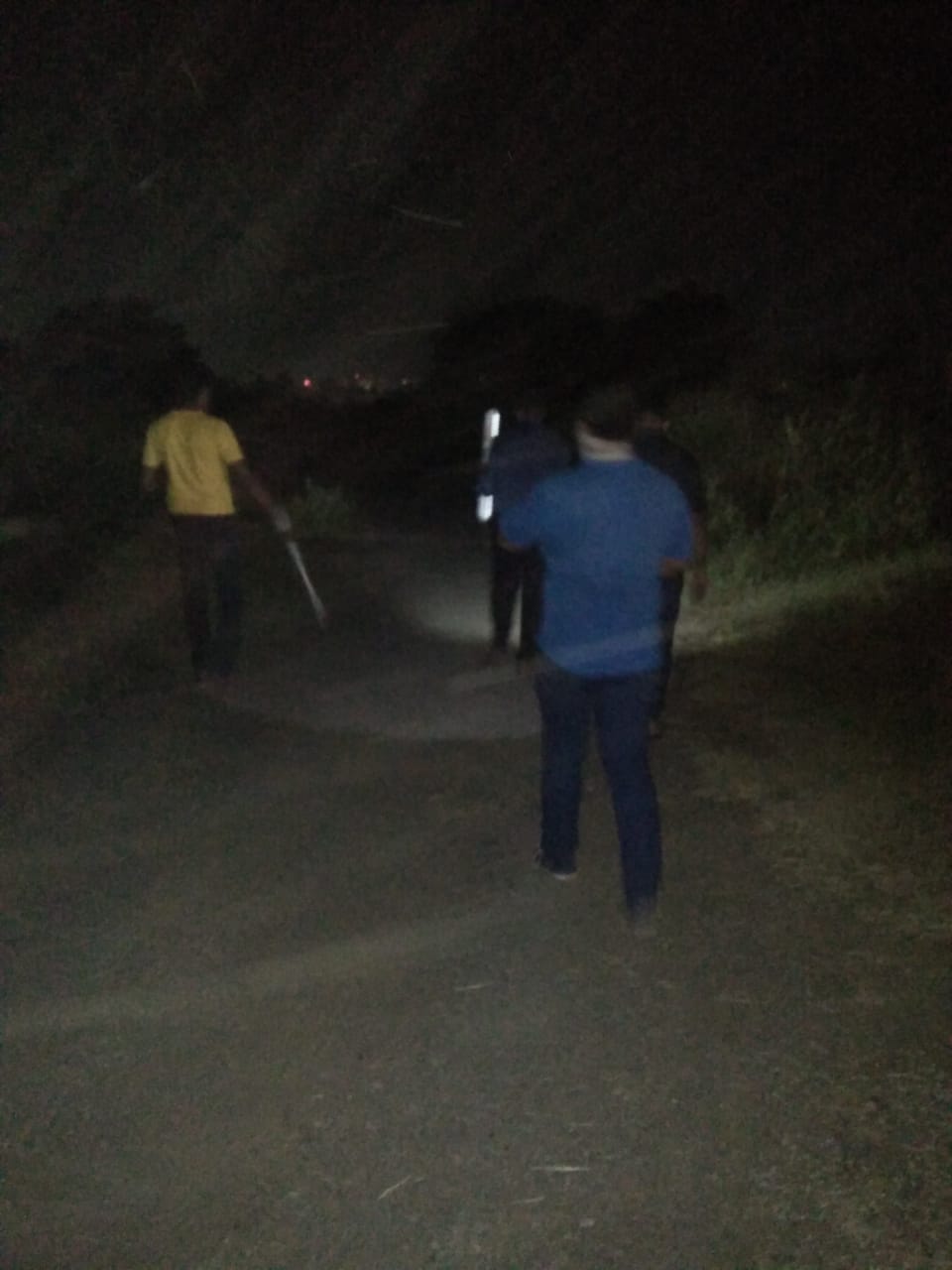 Thane: Leopard found roaming near Kolshet area creates panic among residents; search operation by forest officials underway - Vimarsana News