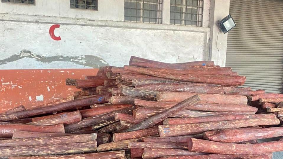 Vashi resident held by Customs in Rs 15 crore red sanders smuggling case - Vimarsana News
