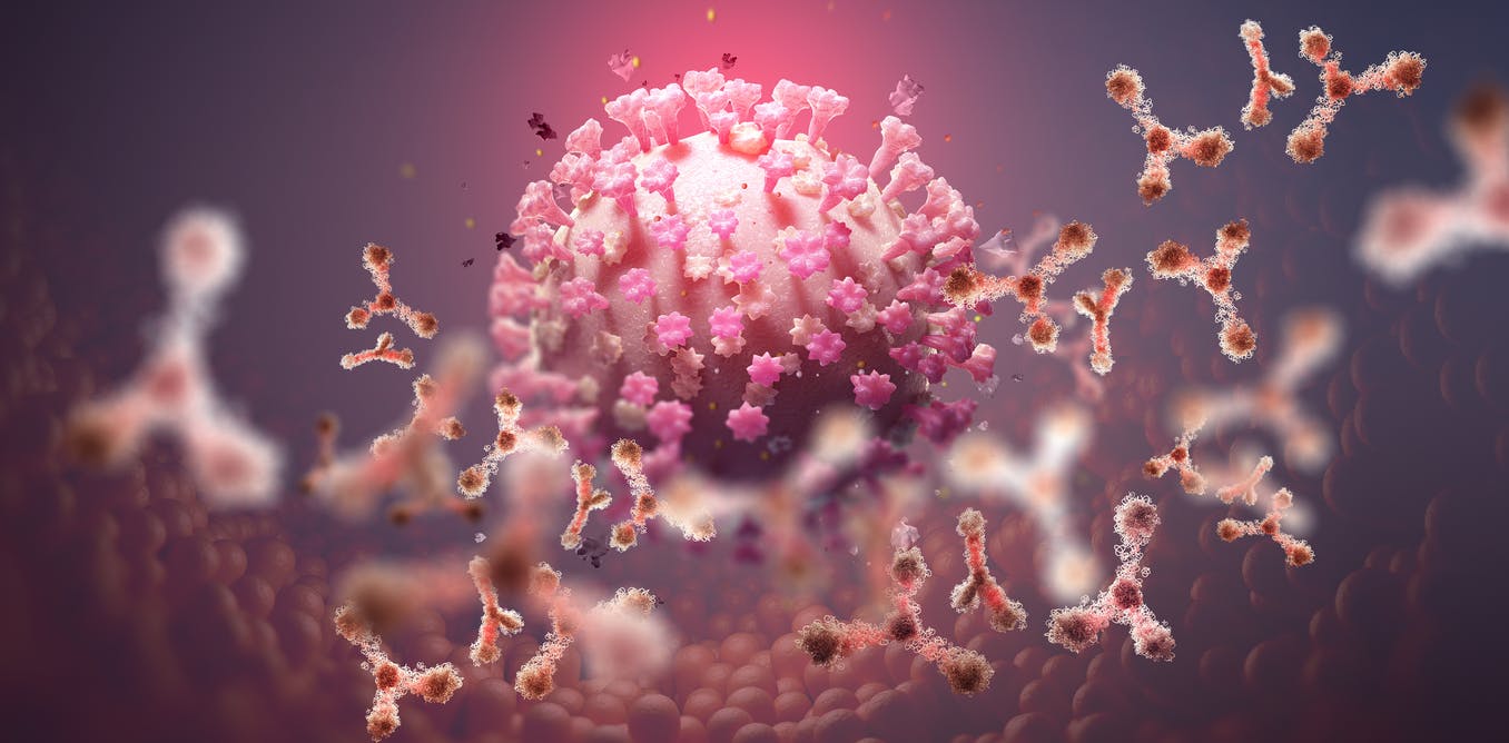 FPJ Explains: Why antibodies become ineffective against Omicron variant - Vimarsana News