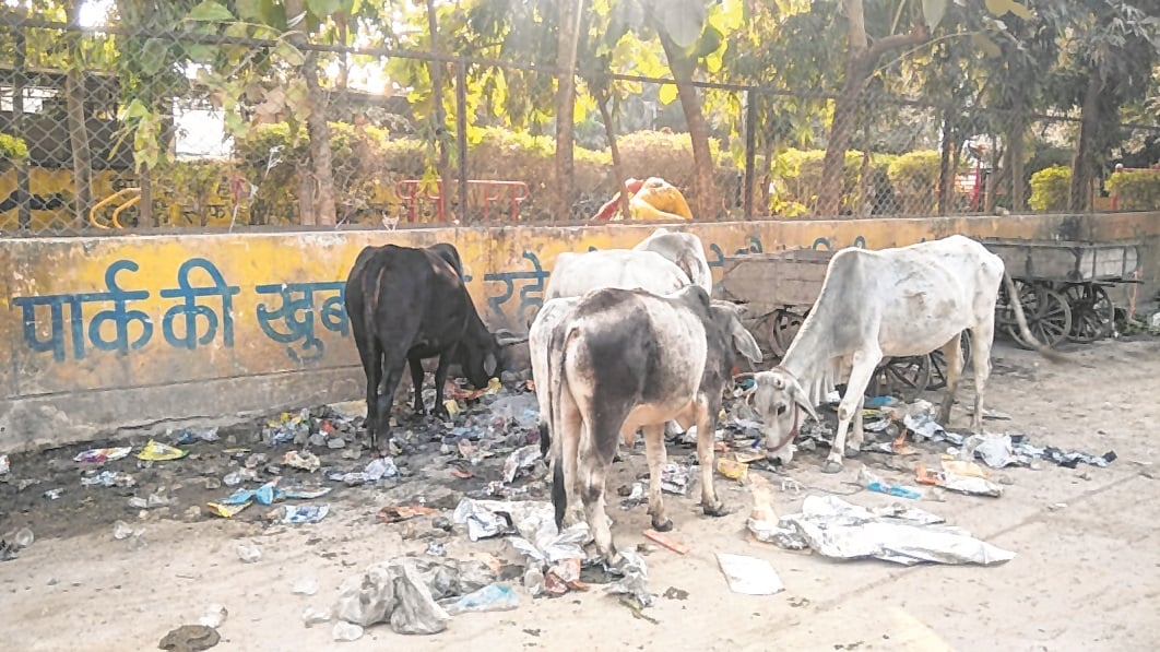 Nalkheda: 'Heaps of garbage new normal' - Vimarsana News