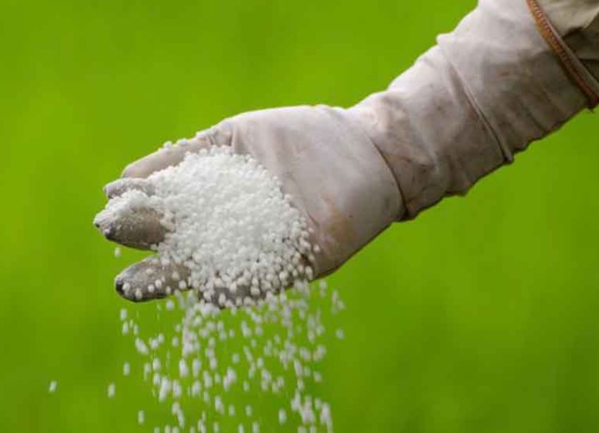 Russia-Ukraine crisis: Govt's fertiliser subsidy bill may go up by about Rs 10,000 cr - Vimarsana News