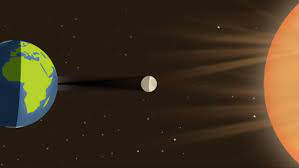Gravitational action of sun and moon influences behaviour of animals and plants, study shows - Vimarsana News