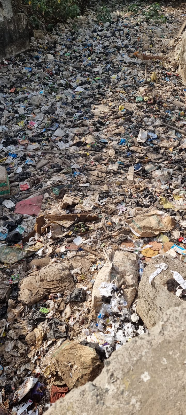 Thane: Activists raise concern over polluted Desai creek near Mumbra and Diva; write to civic bodies, govt officials - Vimarsana News