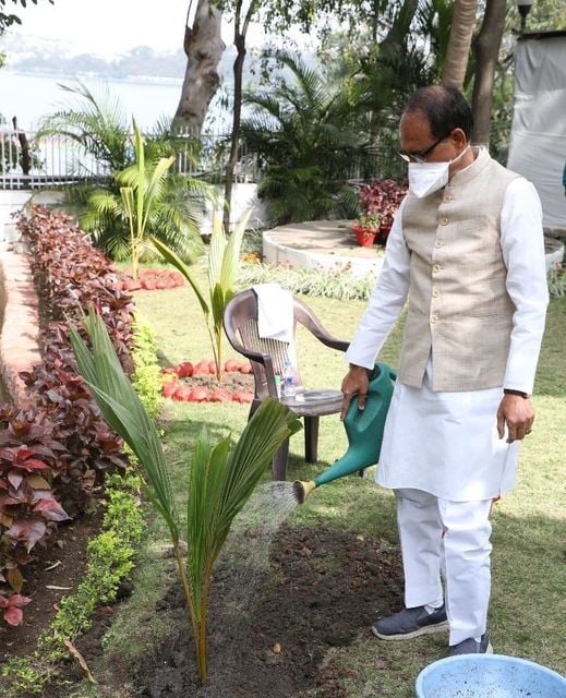 Madhya Pradesh: CM completes one year of planting a sapling everyday - Vimarsana News