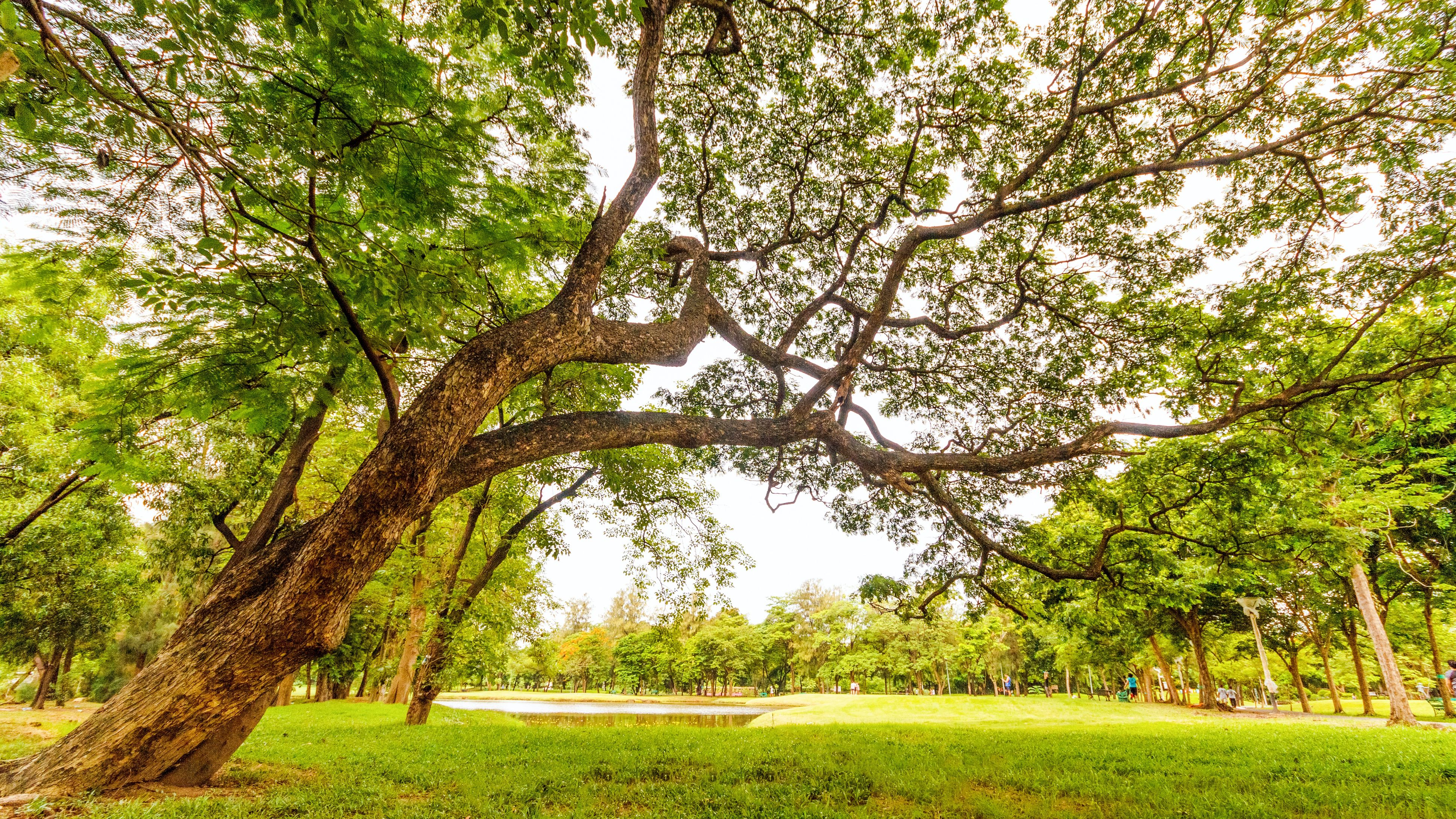 Mumbai: Andheri gets back its musical park - Vimarsana News