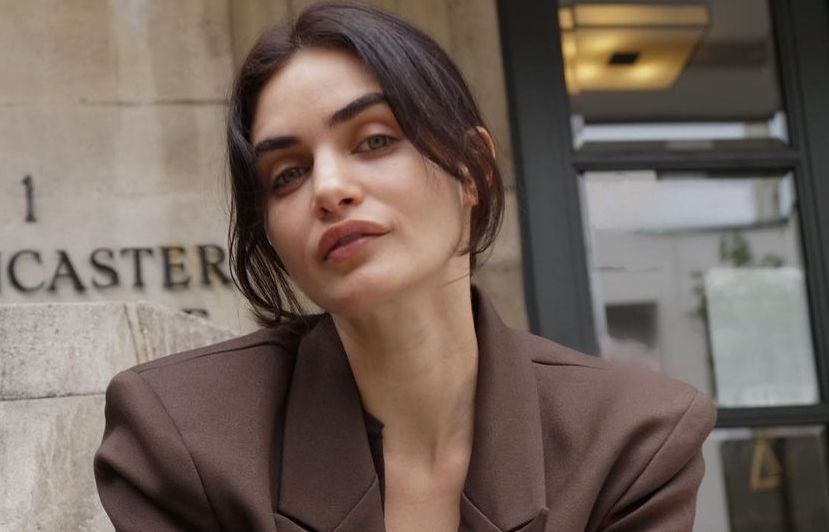 Arjun Rampal's partner Gabriella Demetriades reacts to troll who called her lips 'bee-stung' - Vimarsana News