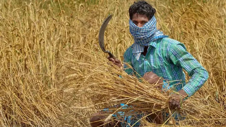 Budget 2022 puts dues emphasis on agri universities - Vimarsana News