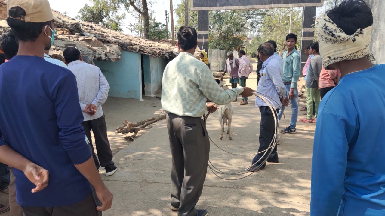 Balaghat: Man, minor daughter die after power line falls on them - Vimarsana News