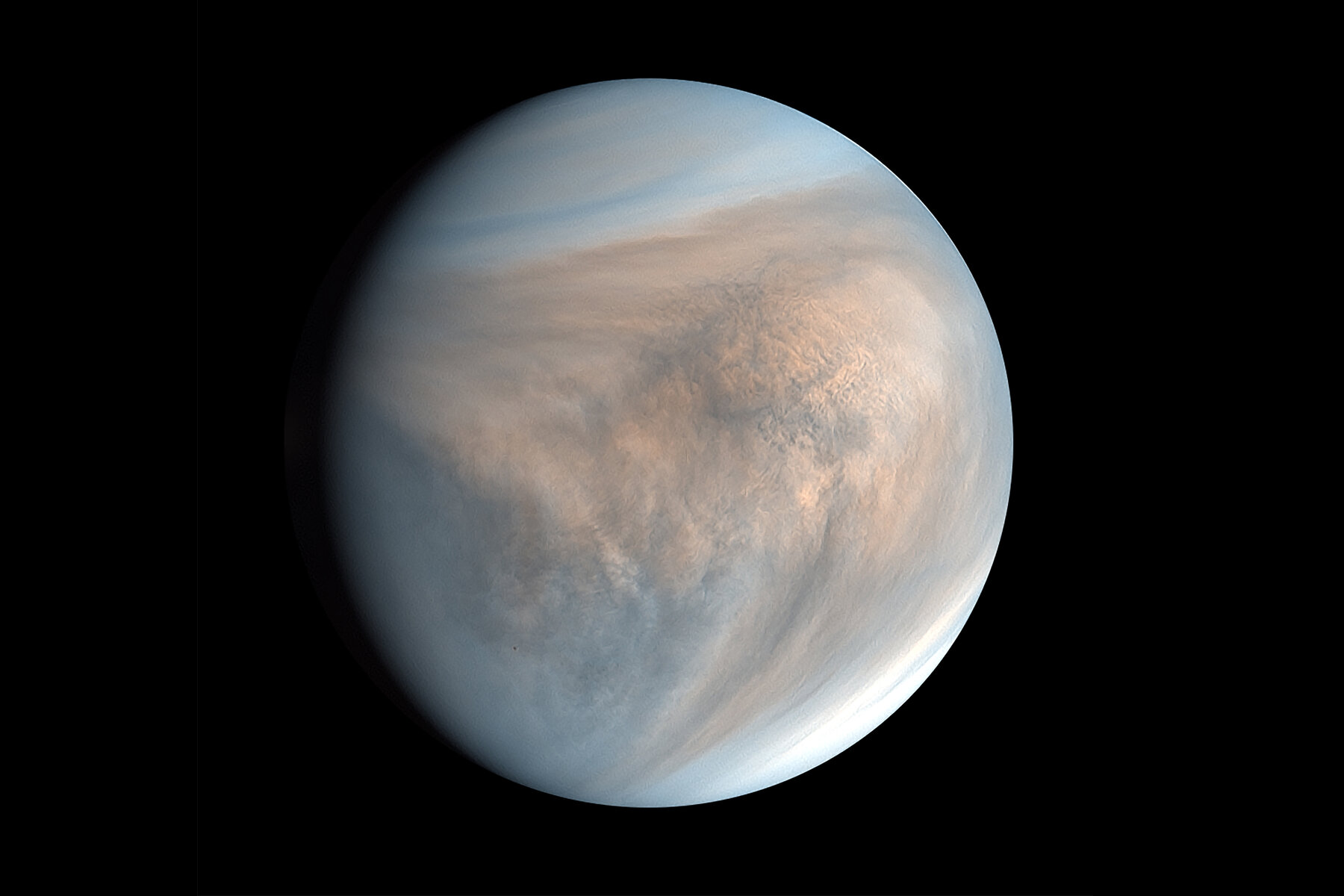 Doc Destiny: Number of Venus - Vimarsana News