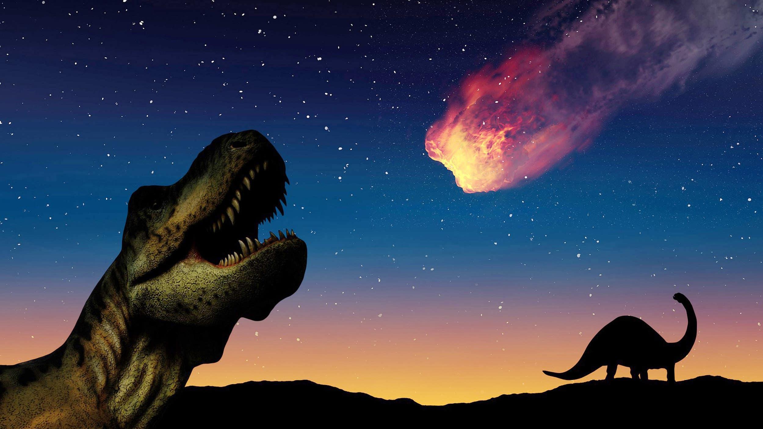 Study examines last day of dinosaurs - Vimarsana News