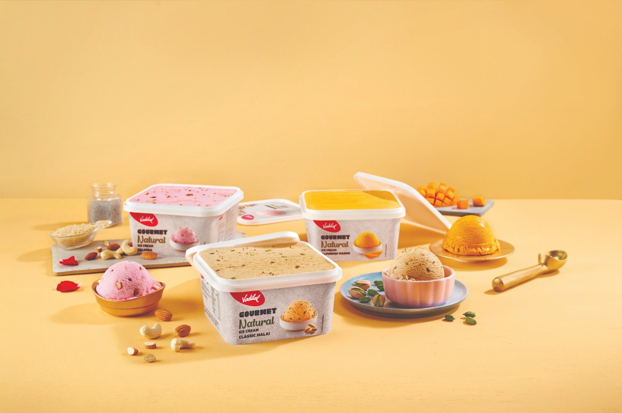 Vadilal Enterprises unveils new Gourmet Natural ice cream range; TV campaign - Vimarsana News