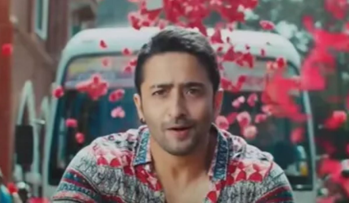 'Woh Toh Hai Albelaa will find an audience in everyone': Shaheer Sheikh spills the beans on his new show - Vimarsana News