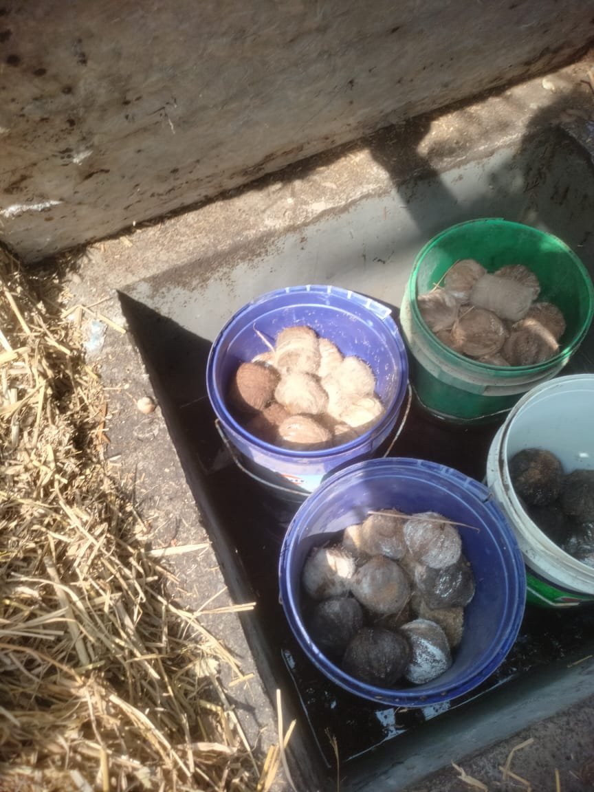 Birbhum: 40 crude bombs recovered in Rampurhat days after violence - Vimarsana News