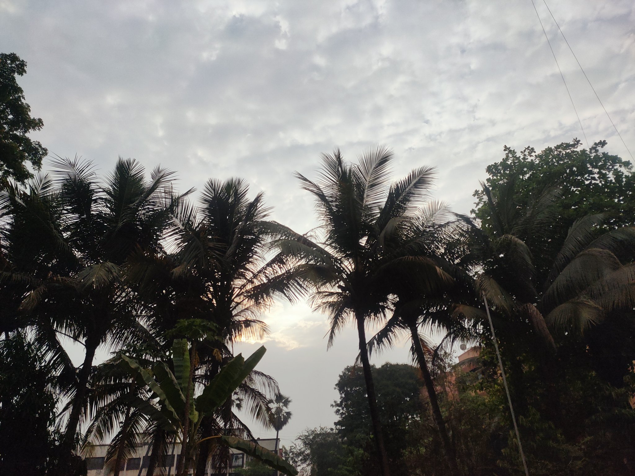 Indore: Cloudy weather provides relief soaring temperature - Vimarsana News