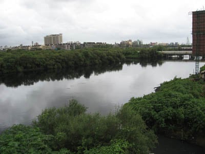 Mumbai: BMC in process of finalising consultants for rejuvenation, beautification and flood control of Mithi river - Vimarsana News