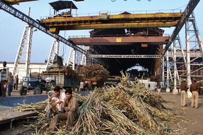 New session of sugar mills in Meerut to begin from November