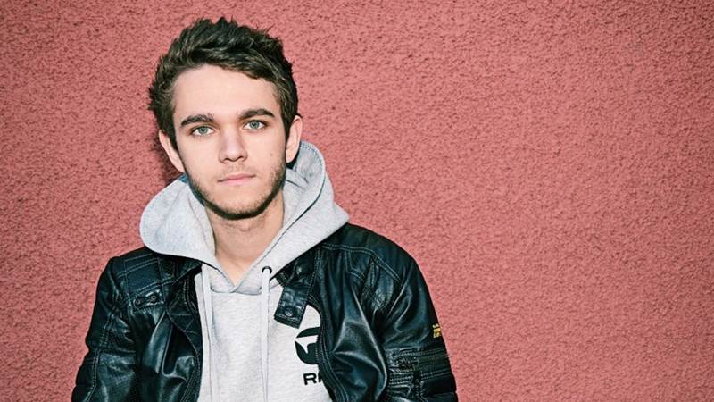 India Calling For Dj Zedd India Calling For Dj Zedd