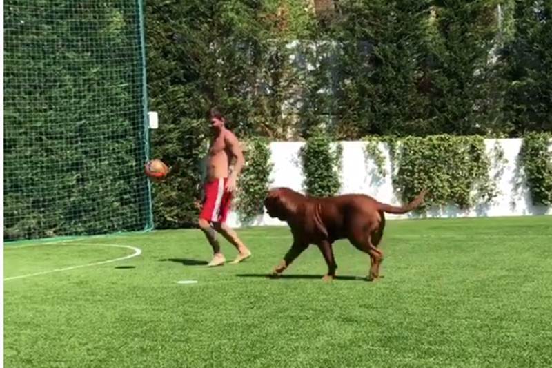 Video of Lionel Messi playing football with his dog Hulk goes viral