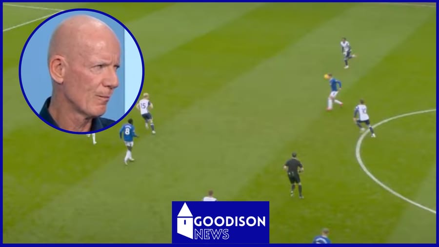 Dermot Gallagher shares verdict on contentious decision in Everton v Tottenham