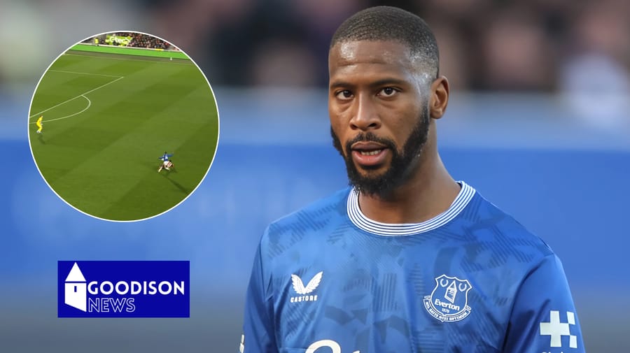 Brentford v Everton: Ex FIFA official reacts to major controversy