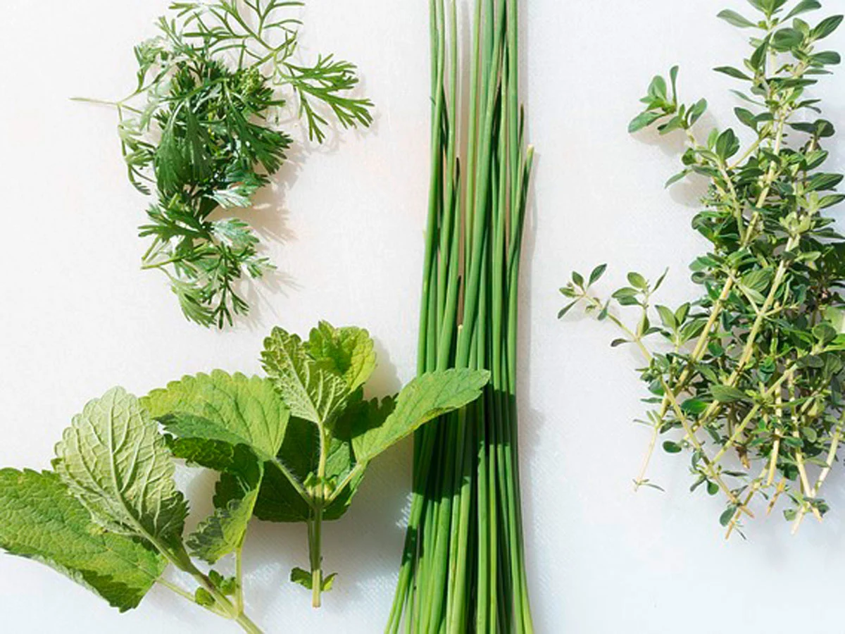 herbs