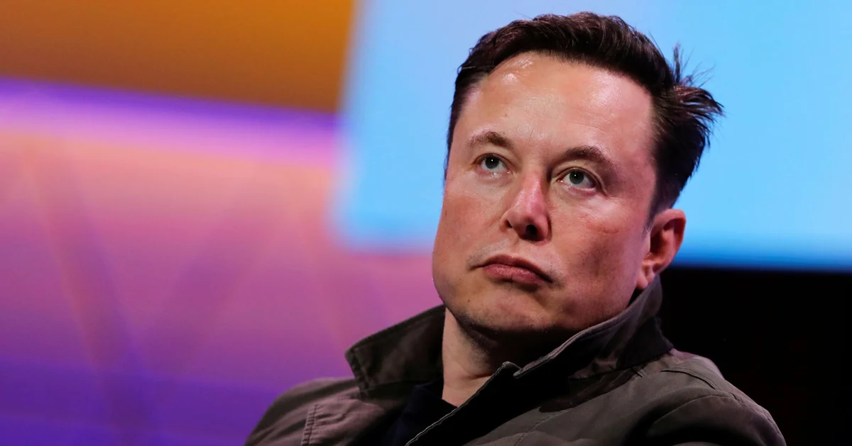 Tesla ceo elon musk forecasts grim future of human race, says population bomb would lead to Tesla CEO Elon Musk forecasts grim future of human race, says population bomb would lead to