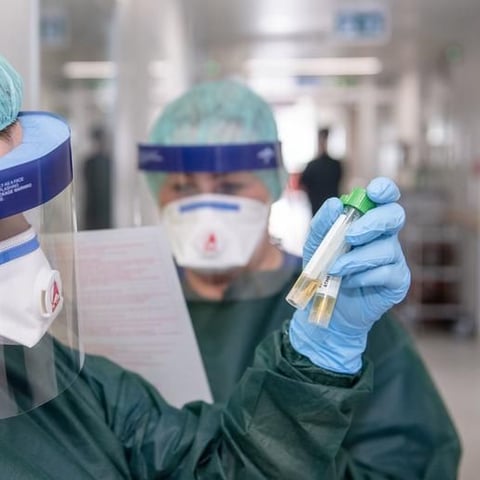 Germany reports fifth coronavirus case