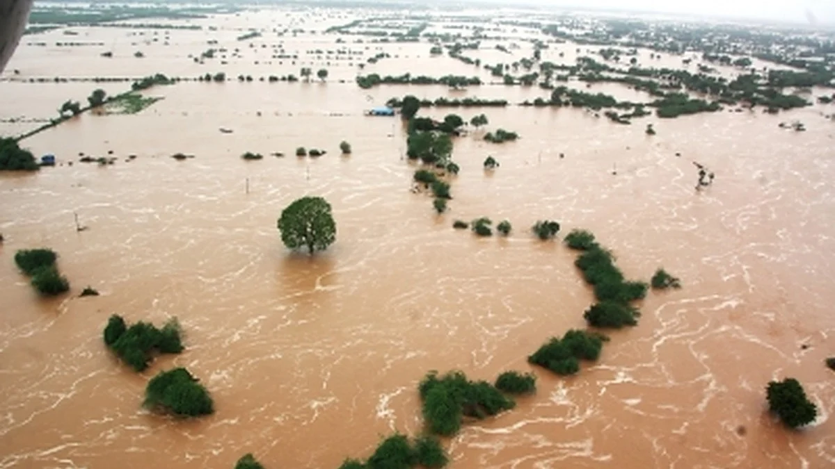After backlash from Congress & AAP, Gujarat govt unveils relief package for  flood-hit farmers