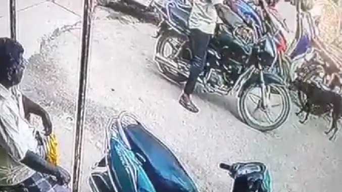 இருசக்கர வாகனத்தில் சென்ற இளைஞரை கடித்த வெறிநாய்