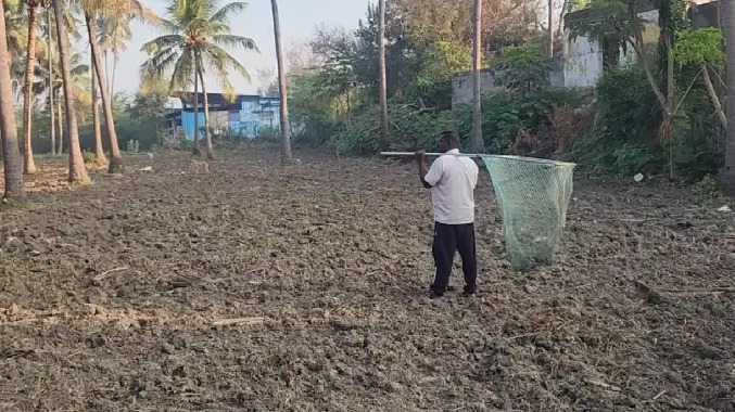 தெருநாய் கடித்து 4 பேர் காயம்- மருத்துவமனையில் அனுமதி