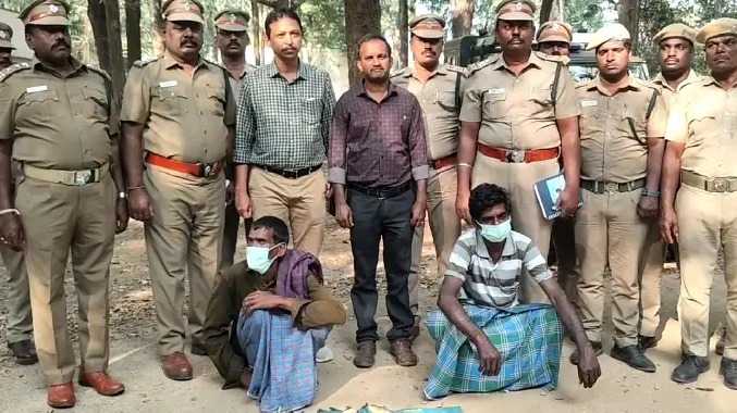 காப்புக்காட்டில் இறந்து கிடந்த யானையின் தந்தங்கள் திருட்டு