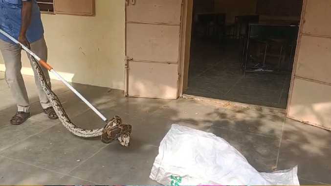 சார் நானும் படிக்க வரேன்!