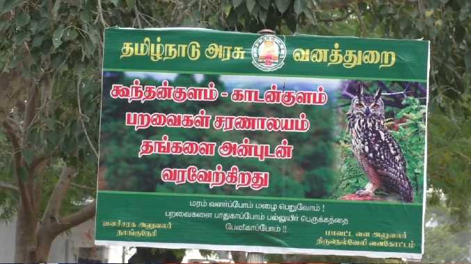 தண்ணீர் இல்லாமல் தவிக்கும் பறவைகள்