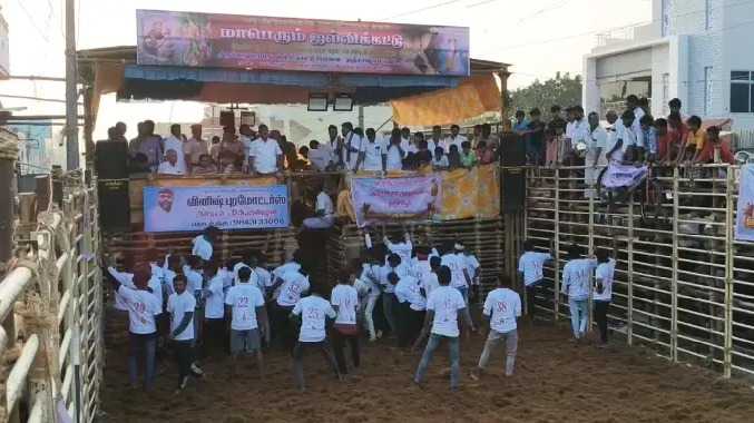 பேராலய பொங்கல் விழாவையொட்டி ஜல்லிக்கட்டு போட்டி