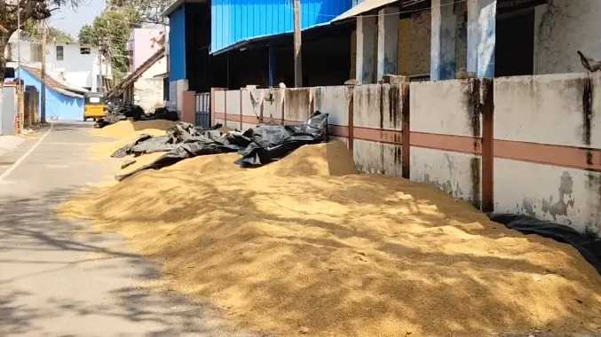 ஈரப் பதத்தால் நெல்மணிகளை கொள்முதல் செய்ய மறுப்பு