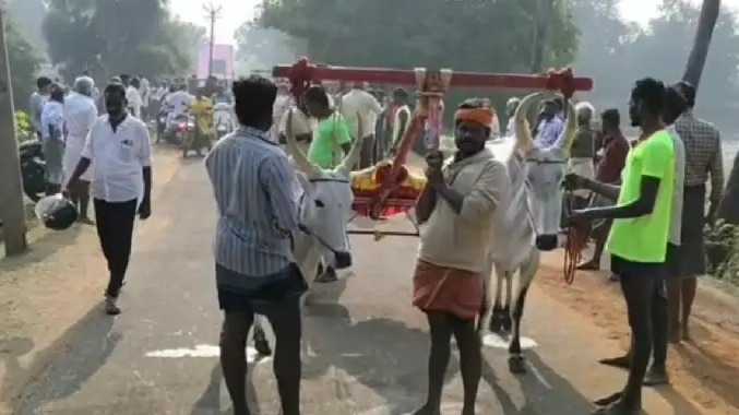 அய்யனார் கோயில் மாசி மகா சிவராத்திரி திருவிழா