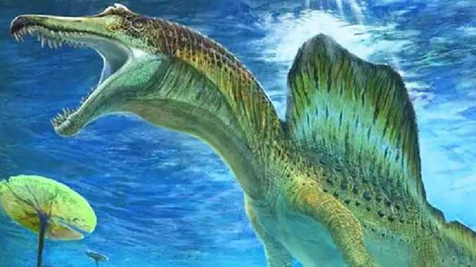 ஸ்பைனோசோரஸ் இன எச்சங்கள் கண்டுபிடிப்பு