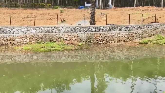நந்தியாற்றை ஆக்கிரமித்து சுவர் கட்டிய எஸ்டேட் உரிமையாளர்