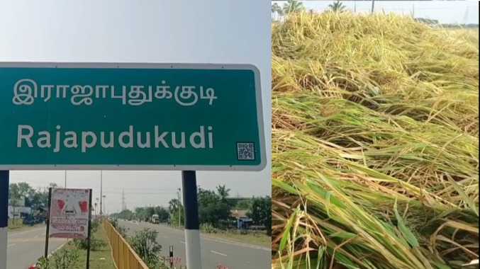மழை வந்து ஒன்னும் இல்லாமல் ஆக்கிடுச்சு....