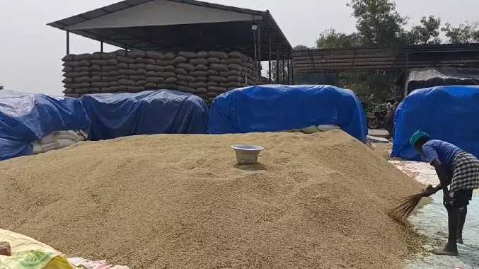 மயிலாடுதுறையில் நெல் விற்பனை செய்வதில் சிக்கல்