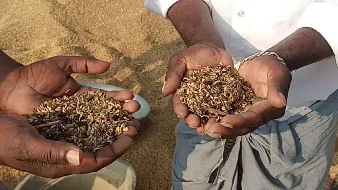 நெல் கொள்முதல் செய்வதில் பாரபட்சம் என புகார்