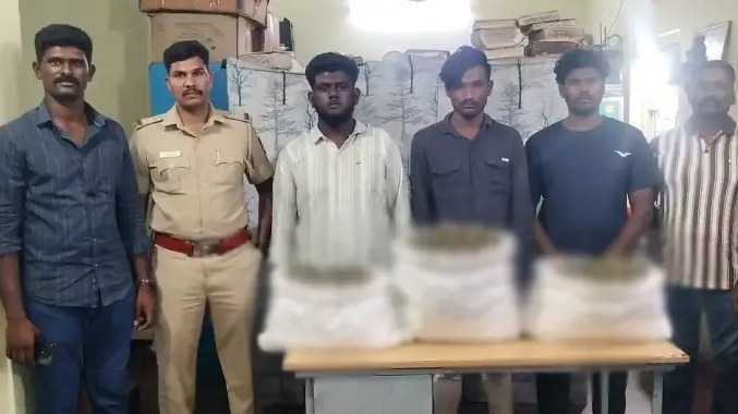 பொன்னேரியில்  கடத்தி வரப்பட்ட 21 கிலோ கஞ்சா பறிமுதல்