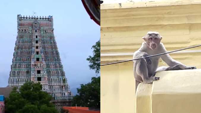 என்னம்மா இப்படி  பண்றீங்களேம்மா..