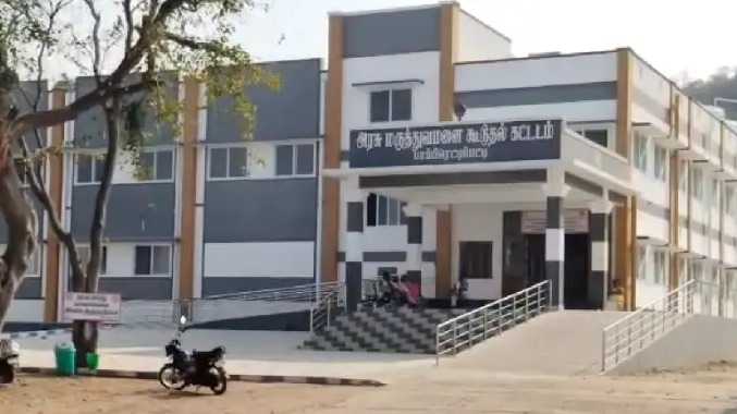 பாப்பிரெட்டிப்பட்டி பகுதியில் தெருநாய்கள் தொல்லை அதிகரிப்பு