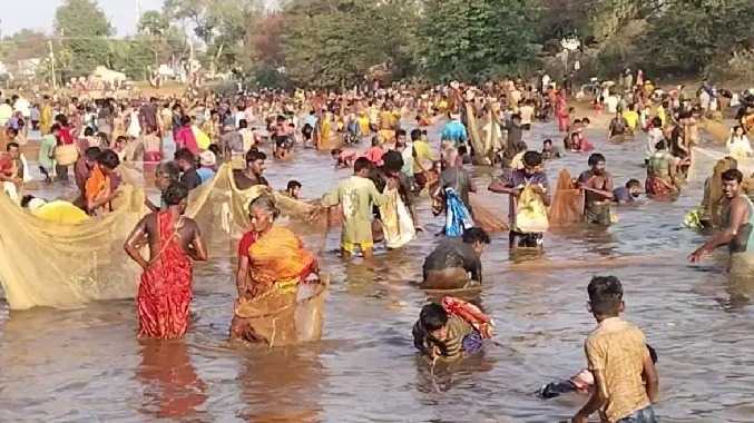 போட்டிப்போட்டு ஆர்வமுடன் மீன்களை பிடித்த மக்கள்